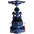 API602 Forged Carbon Steel A105 Thread End NPT Globe Valve